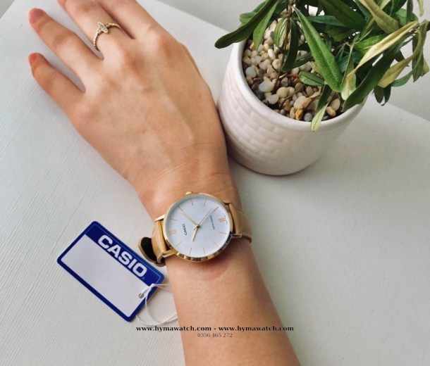 Casio LTP VT01GL-7B