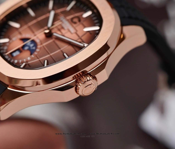  Carnival Aquanus 8113G - Nam - Màu Nâu - Máy Cơ (Automatic)